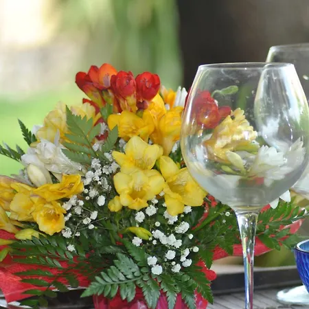 Retreat With Private Patio Just 7 Km From Sperlonga